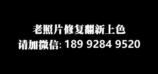 AI�޸�����Ƭ���շ������������